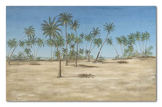66 Beach palm trees