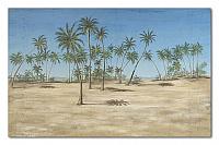 66 Beach palm trees